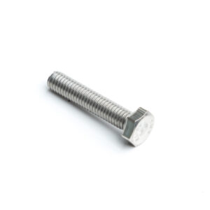 M6 x 30 mm Bolt S/S